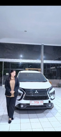 mobil 1